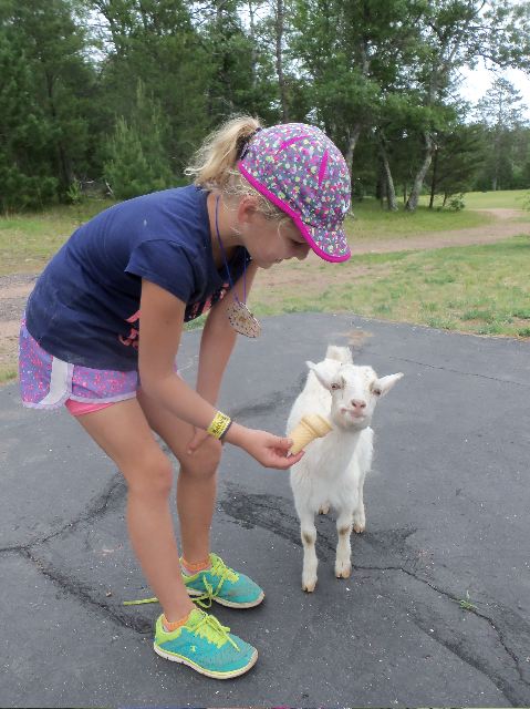 animal summer camp