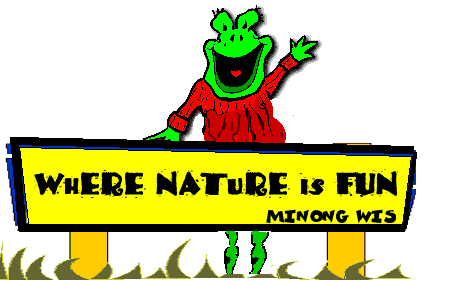 Logo Summer Camp
Frog
